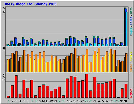 Daily usage for January 2023