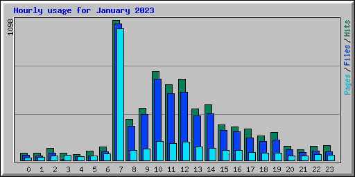 Hourly usage for January 2023